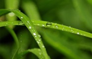 求职技巧