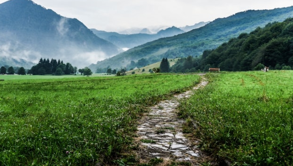 找到属于自己的道路-爱读部落
